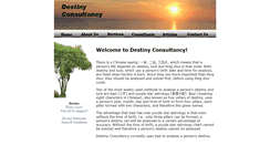 Desktop Screenshot of destinyconsultancy.com